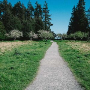 Vanilla Hazelnut Flavored Coffee