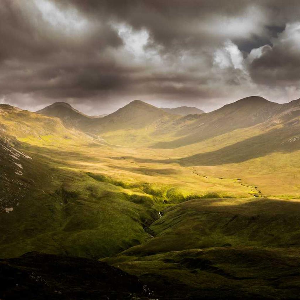 Insulated Travel Coffee Mug
